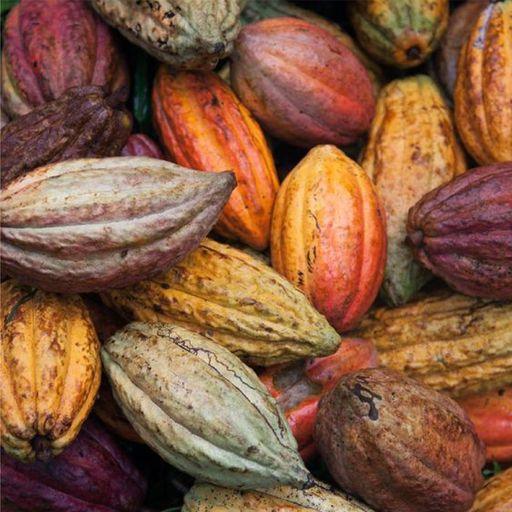 From Pristine Plantations to Your Wellness Journey - Depuravita