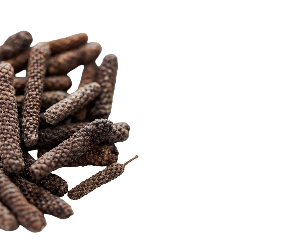 A pile of dark brown whole peppercorns with textured, bumpy surfaces, arranged on the left side of a solid white background.