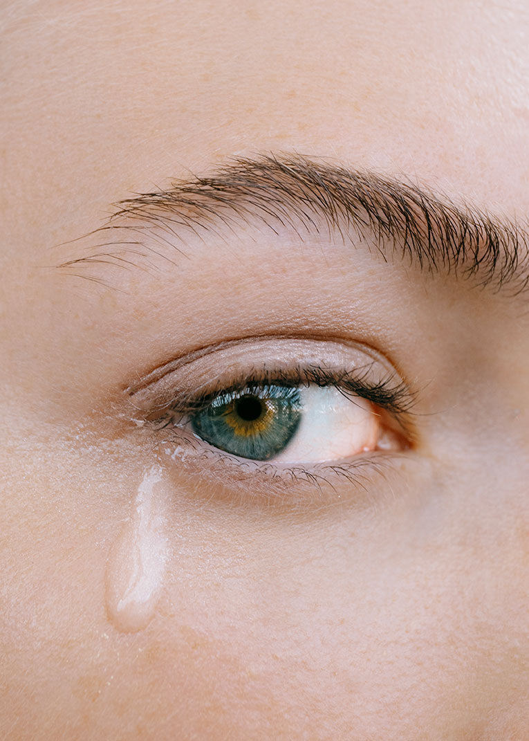 Book by Dr. Luis Campos exploring beauty and longevity