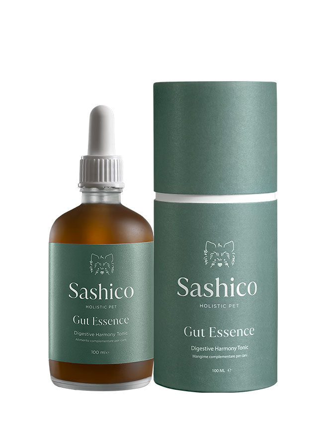 Sashico Gut Essence holistic pet supplement bottle