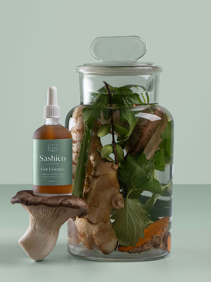 Holistic gut tincture for dogs with Reishi, Boswellia, and Curcuma