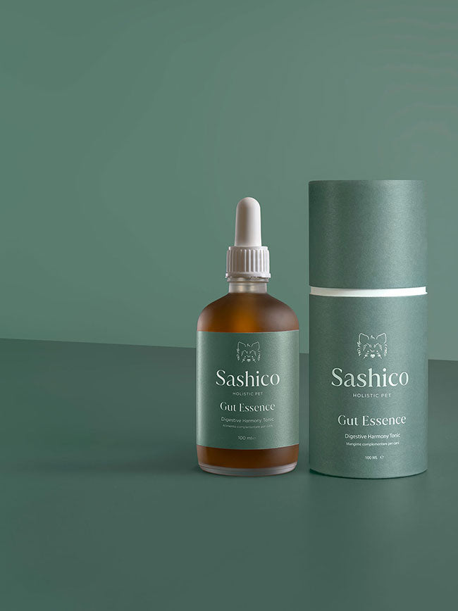 Sashico Gut Essence holistic pet supplement bottle