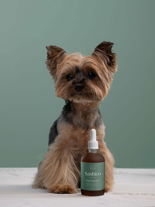 Sashico Holistic Pet natural gut formula for pets